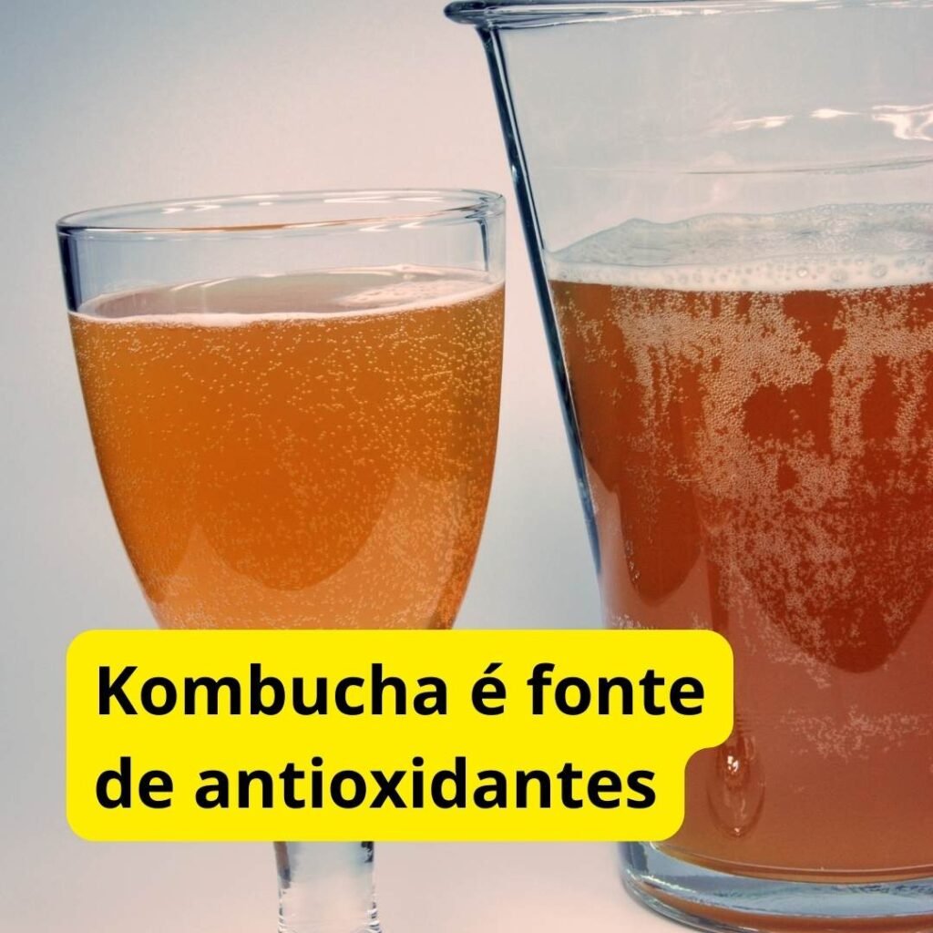 kombucha é fonte de antioxidantes