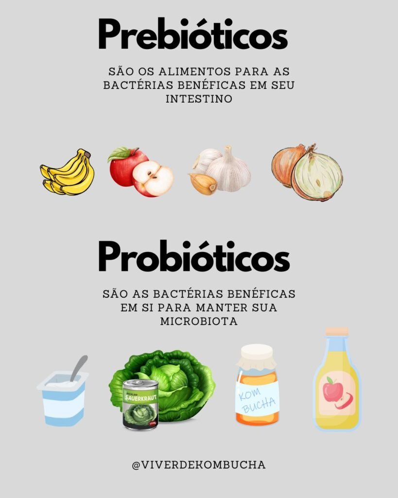 prebióticos e probióticos. Veja a diferença