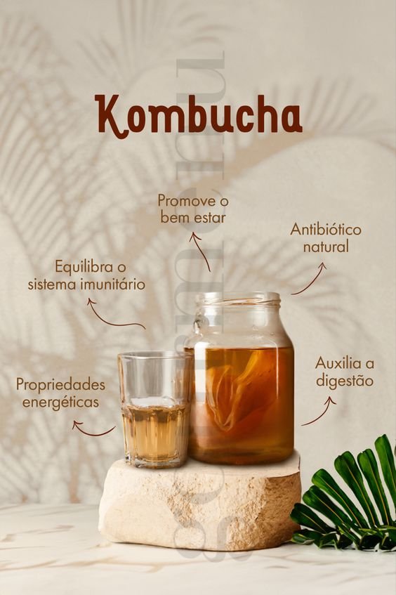 benefícios da kombucha