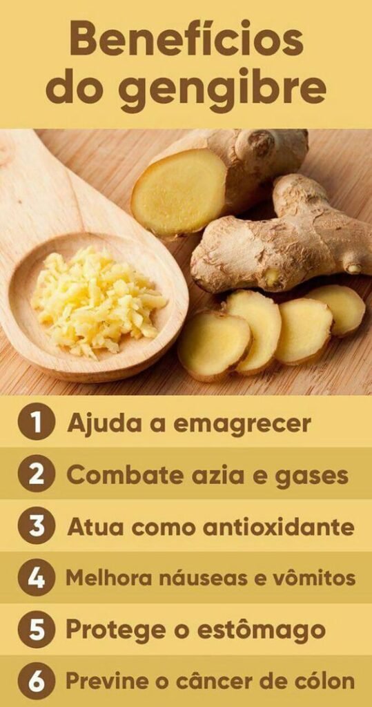 benefícios do gengibre na kombucha